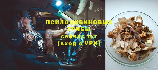 винт Нязепетровск