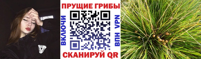 Псилоцибиновые грибы MAGIC MUSHROOMS  Магнитогорск 