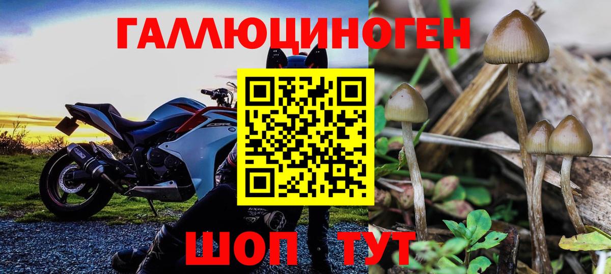 Псилоцибиновые грибы GOLDEN TEACHER Магнитогорск