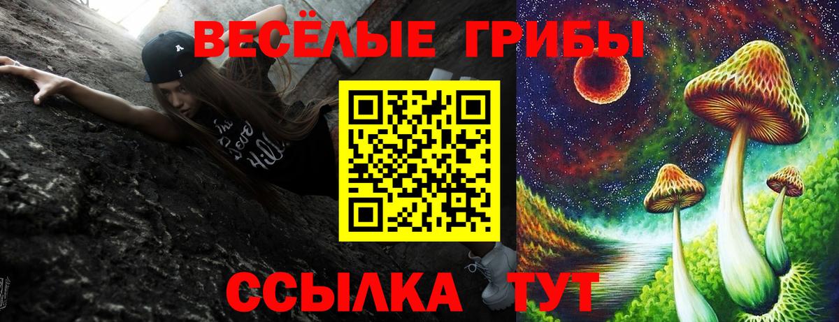 Псилоцибиновые грибы MAGIC MUSHROOMS  дарнет шоп  Вход с VPN  Магнитогорск  Галлюциногенные грибы ЛСД 